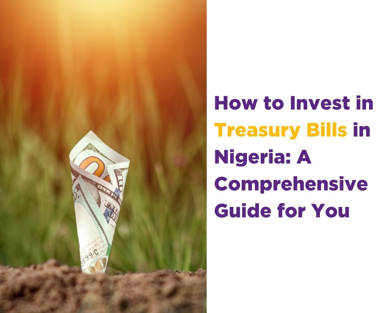 How to Invest in Treasury Bills in Nigeria: A Comprehensive Guide for You