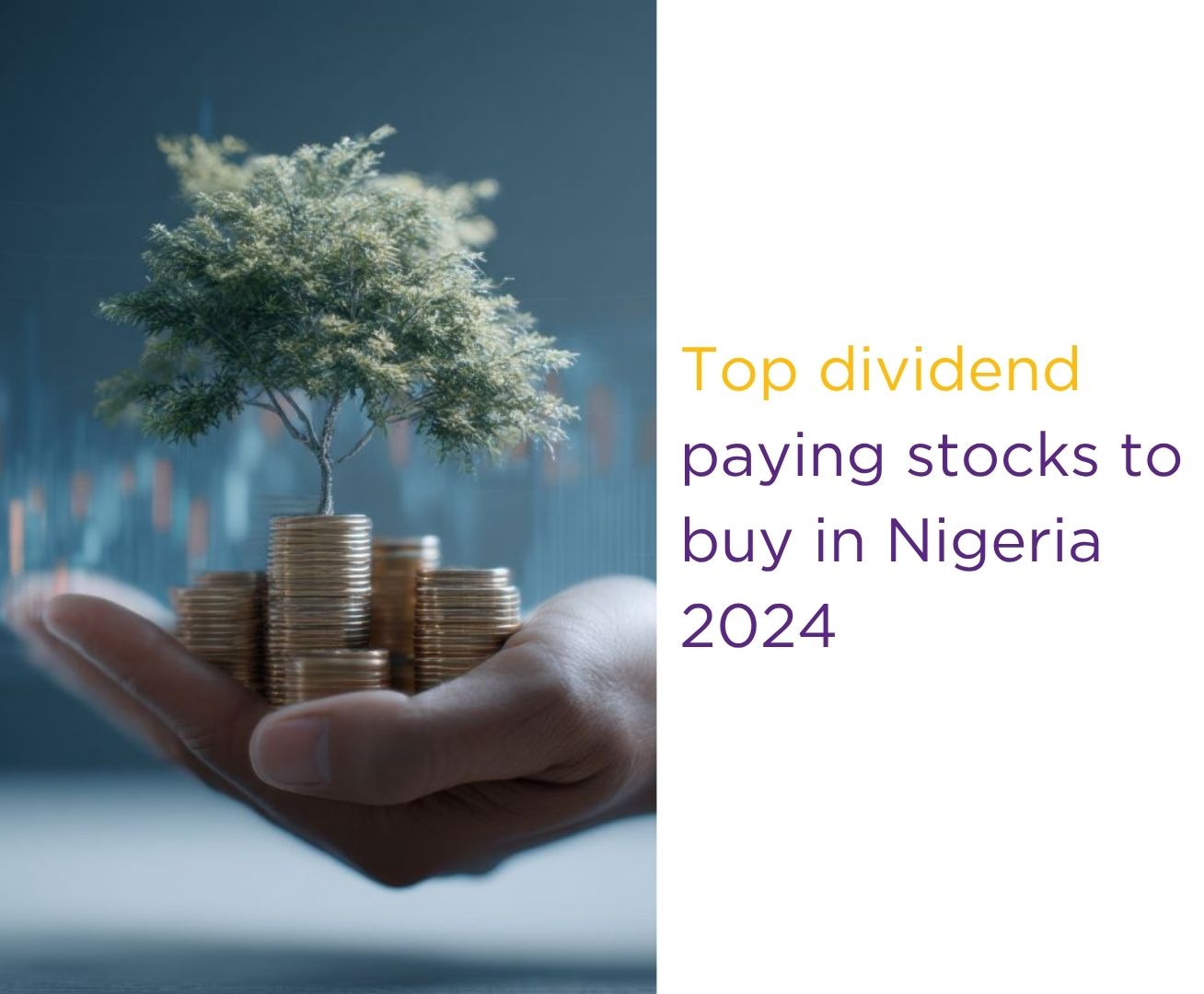 Top dividend-paying stocks to buy in Nigeria 2024